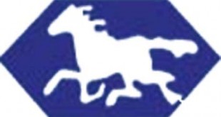 white-horse-pharma-logo